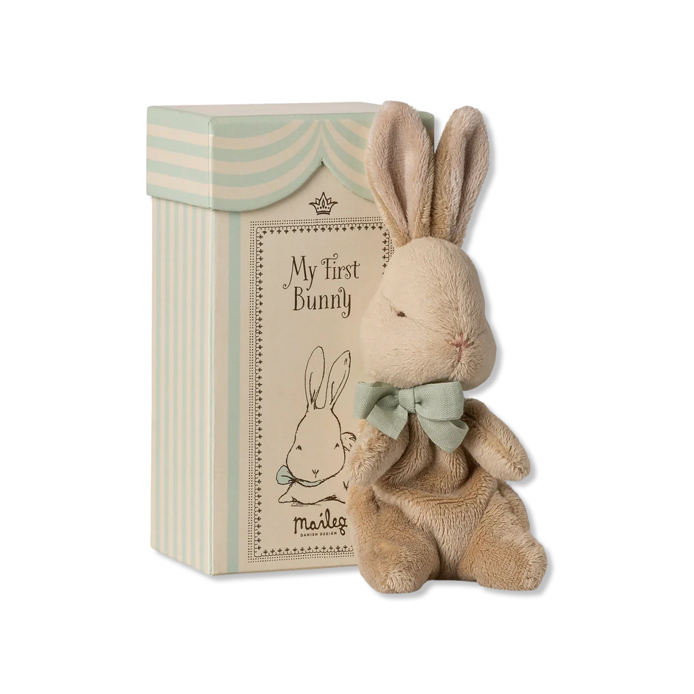 My first bunny Miś