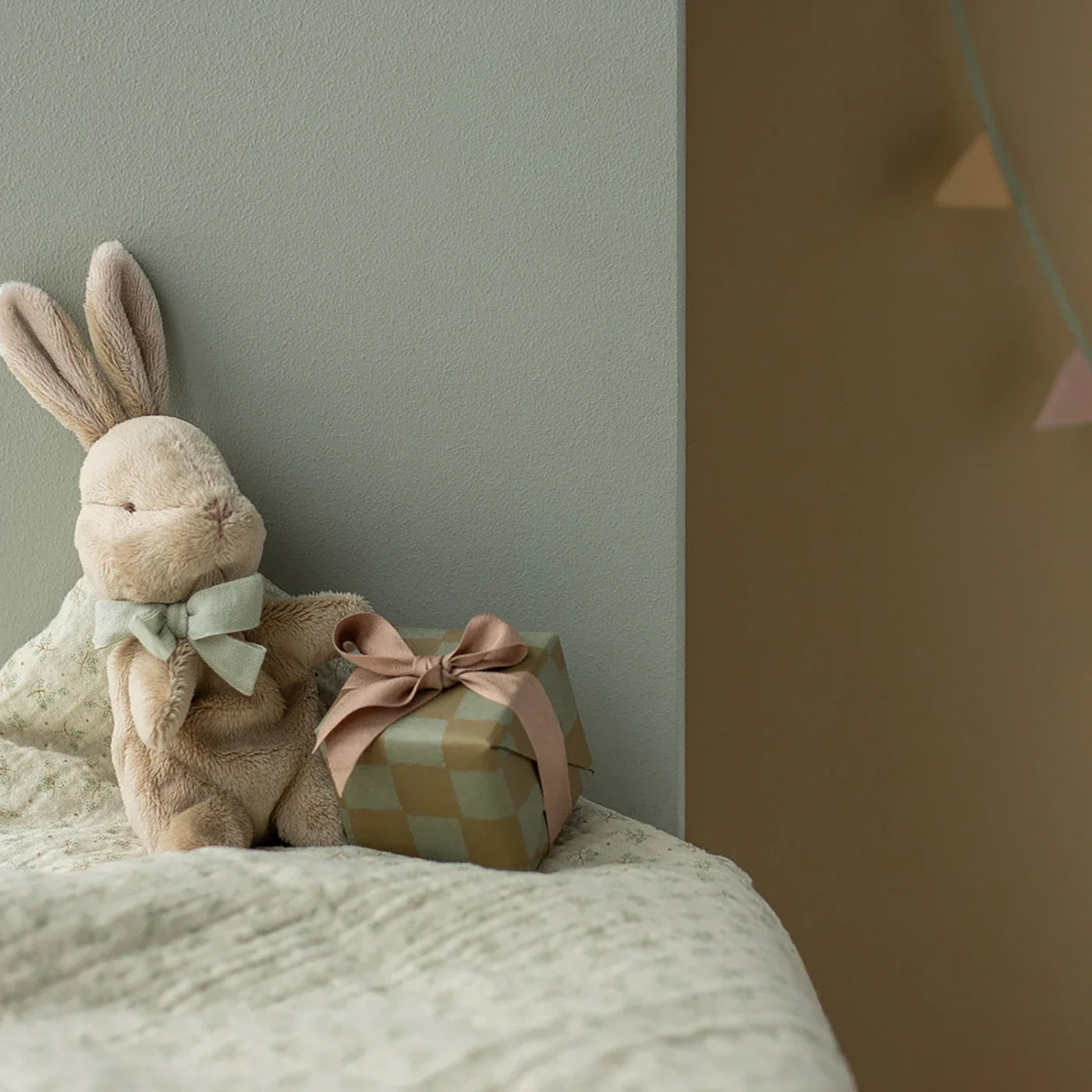 My first bunny Miś