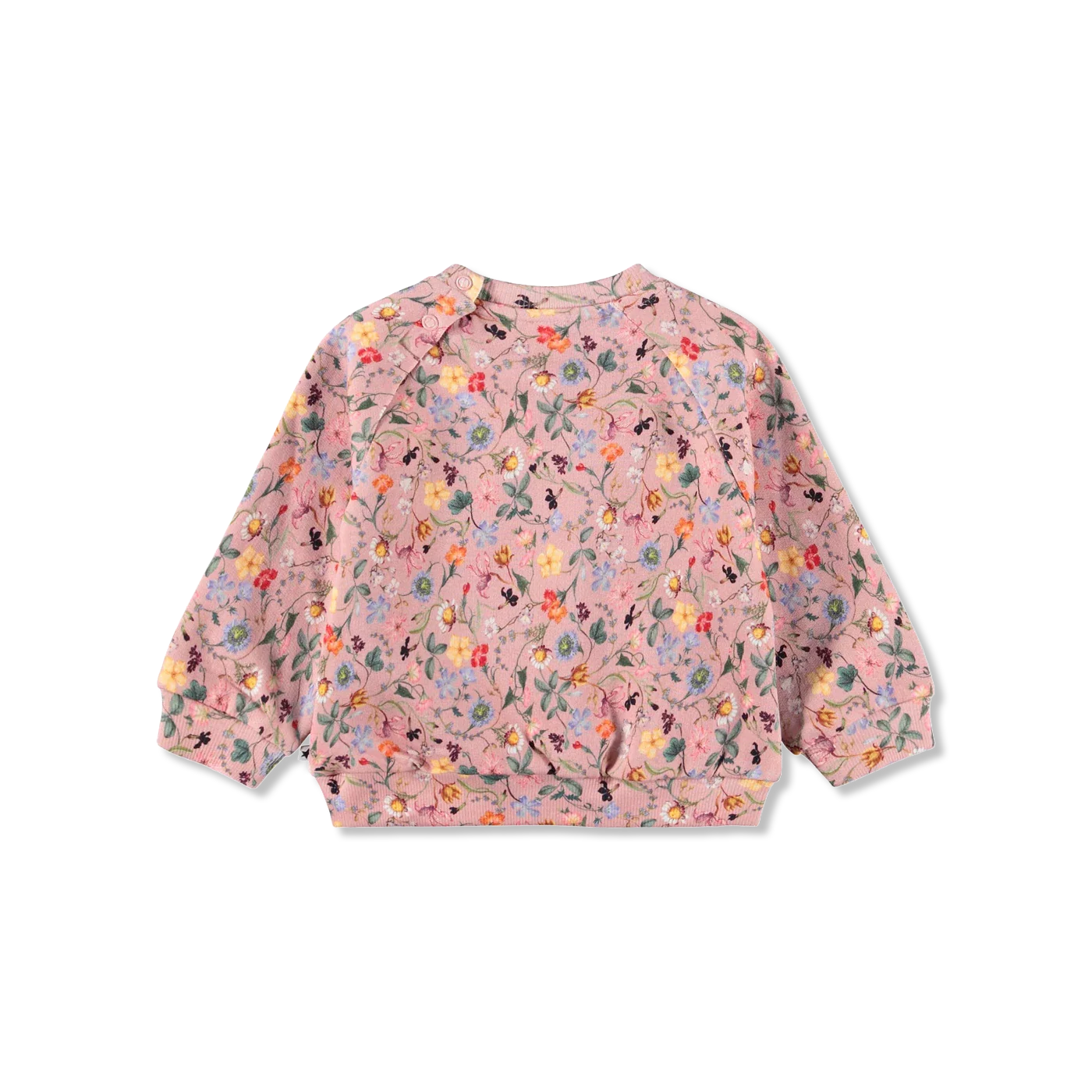 Disc Bluza