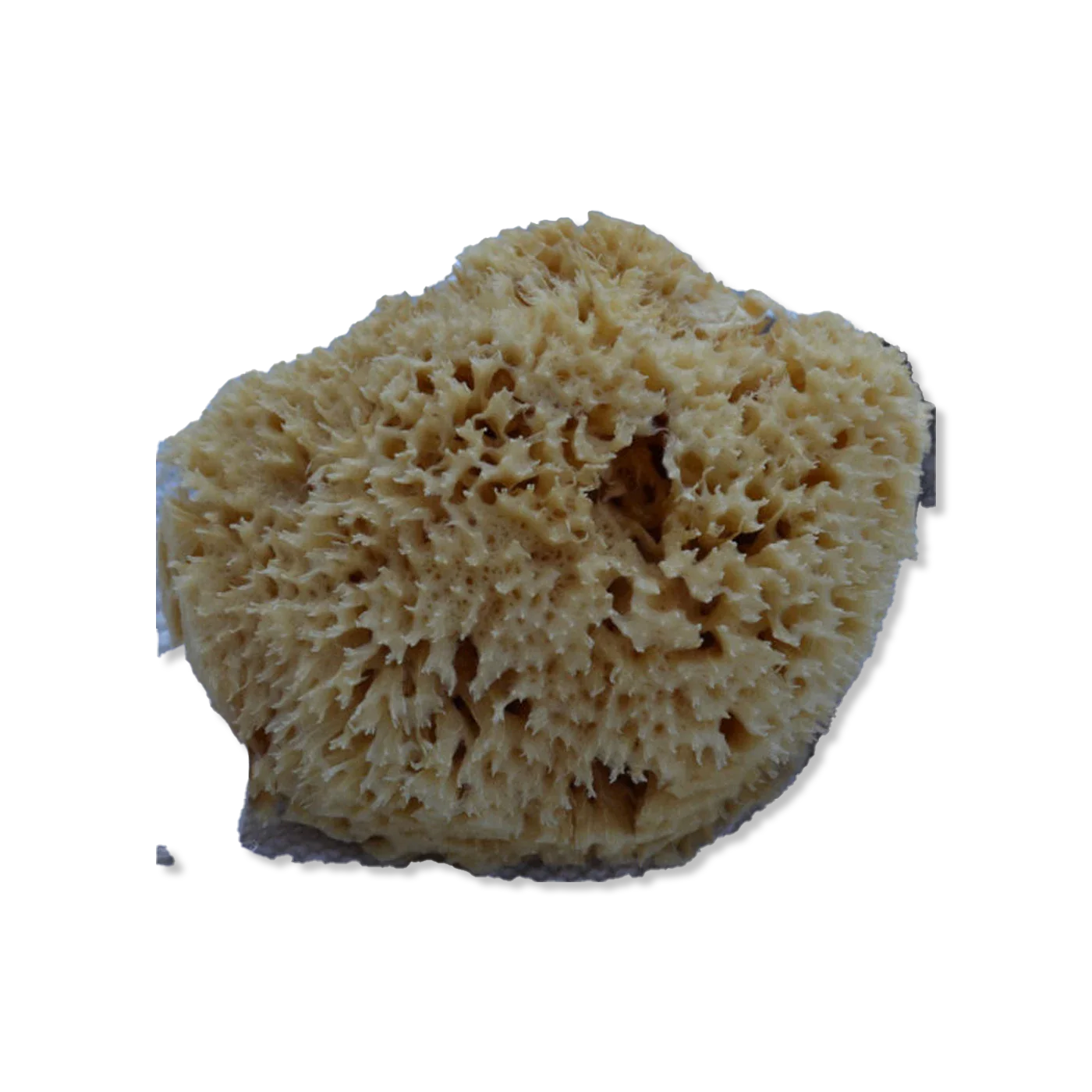 pielęgnacja dziecka