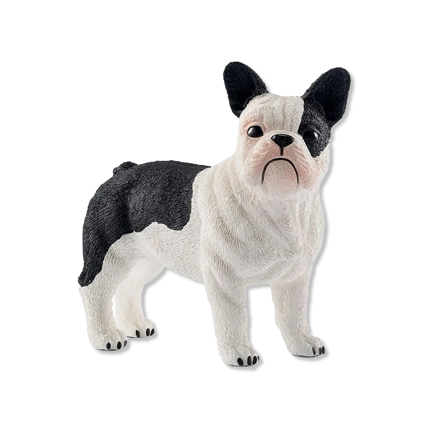 zwierzęta i figurki