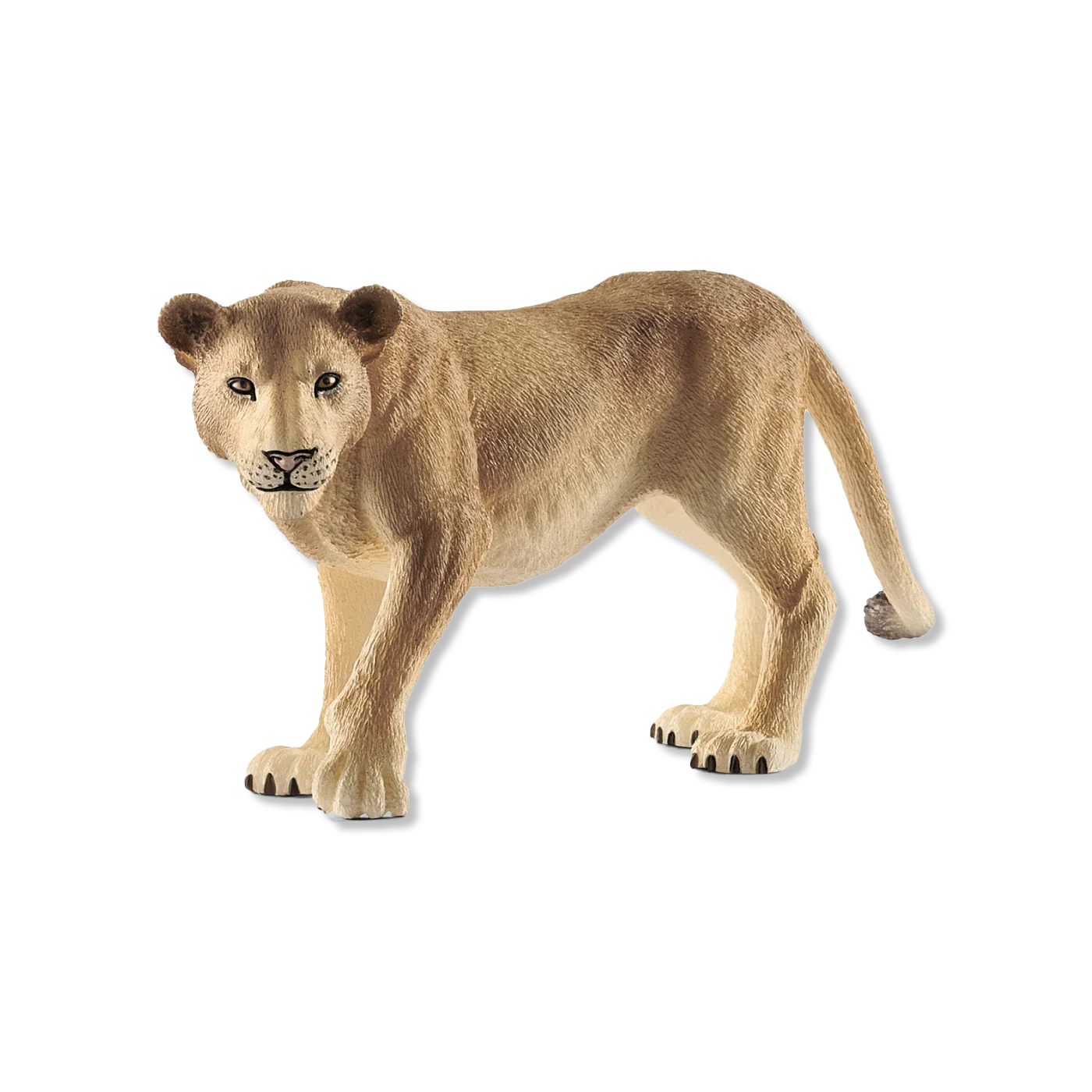 zwierzęta i figurki