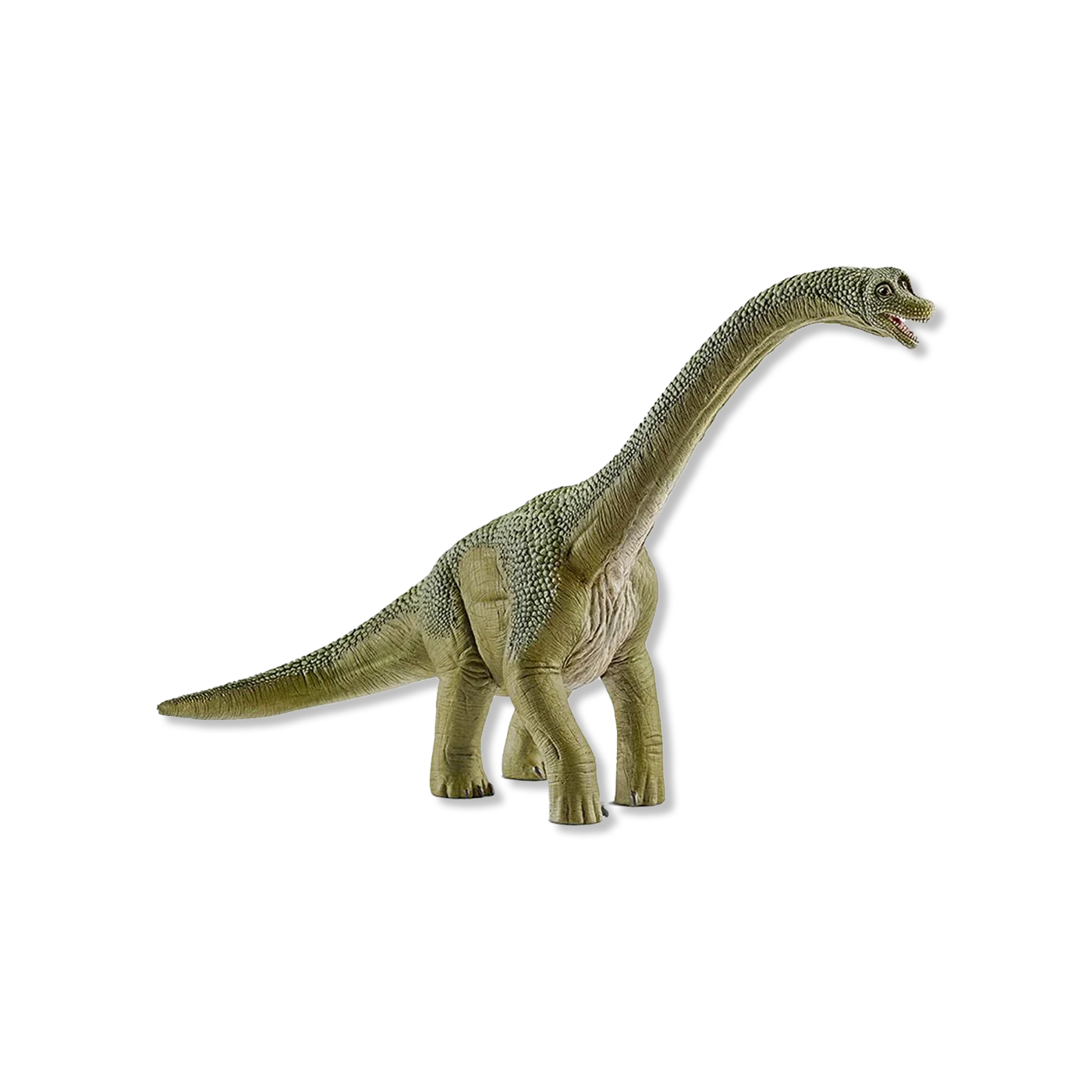 zwierzęta i figurki