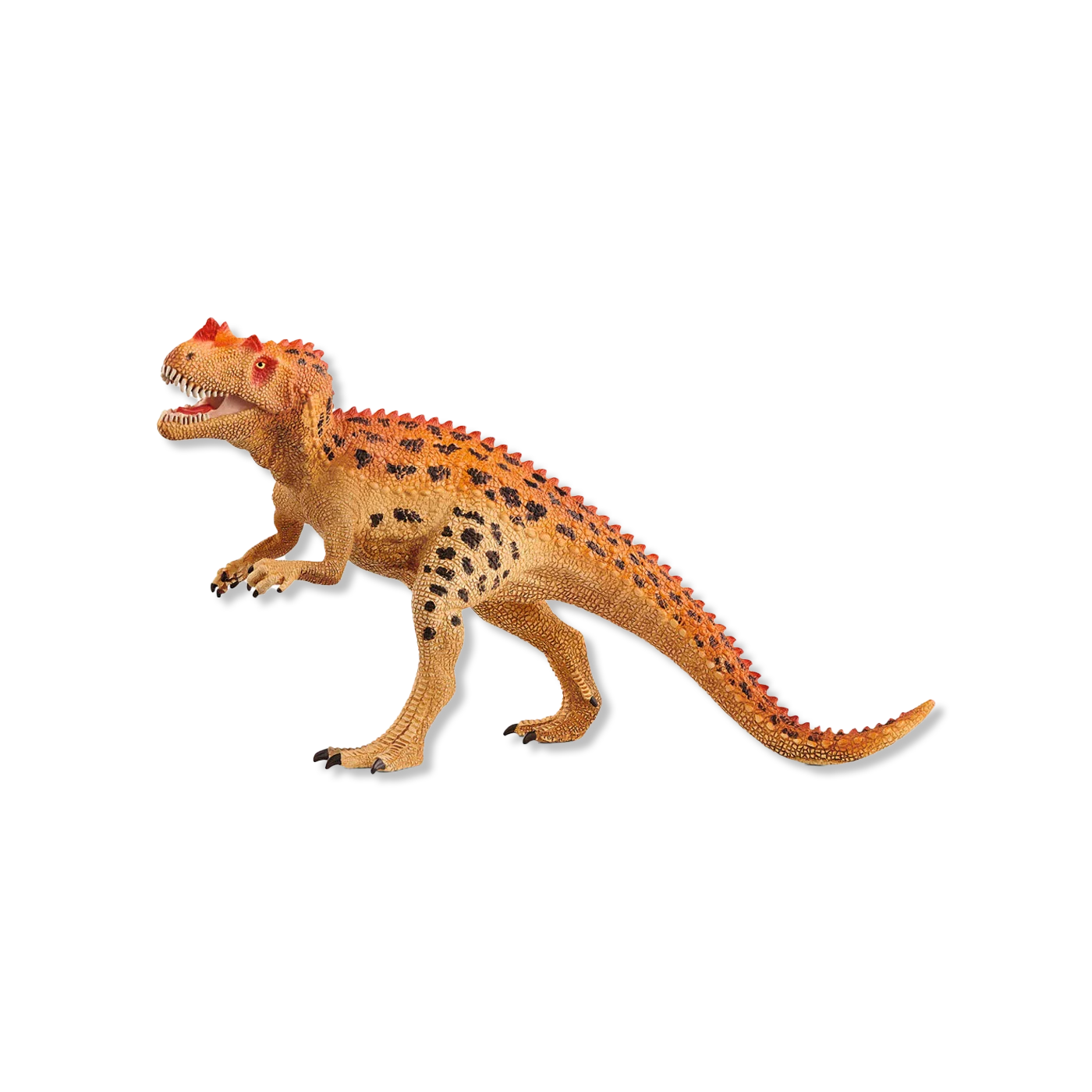 Ceratosaurus zwierzęta i figurki