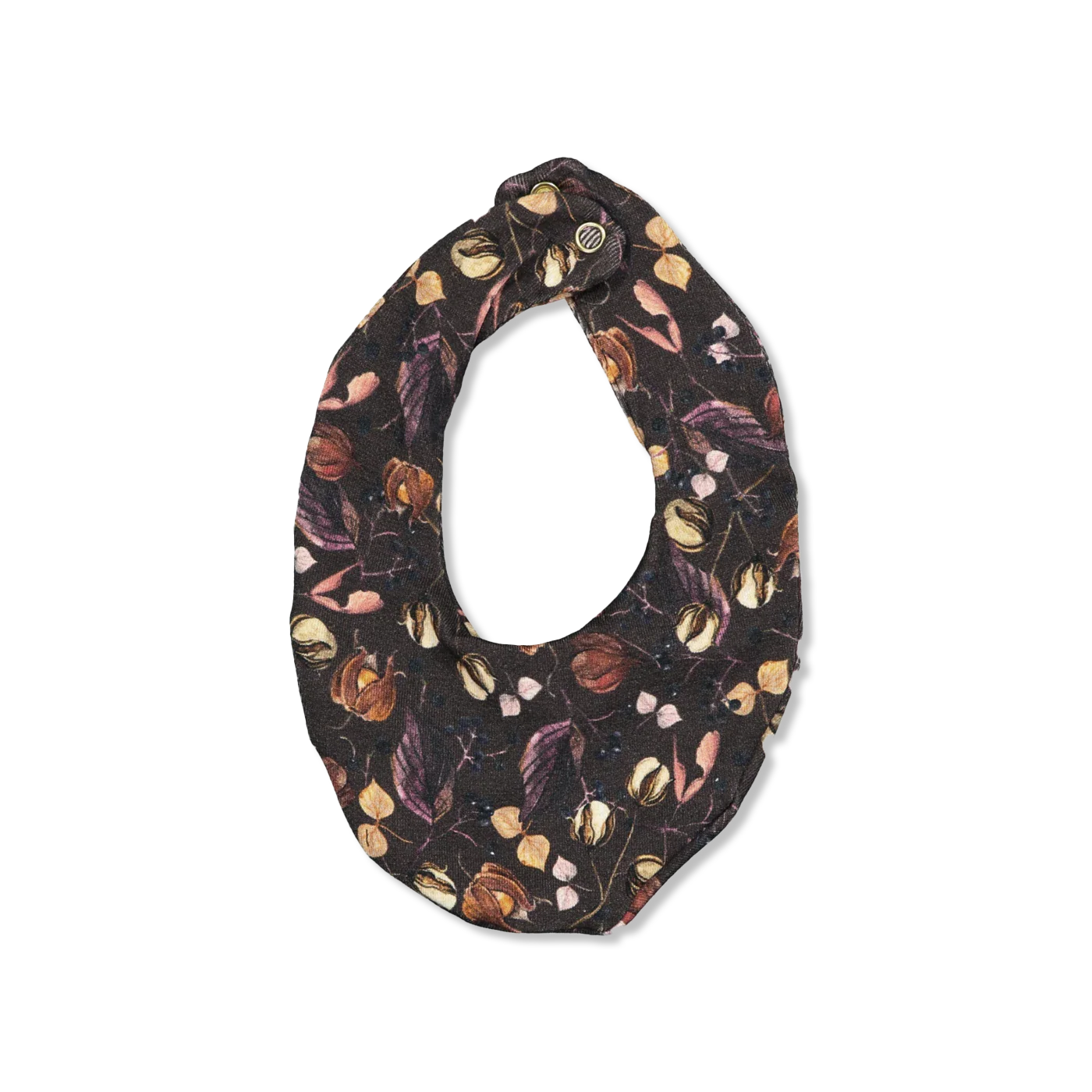 NMFRAGDA śliniaczek