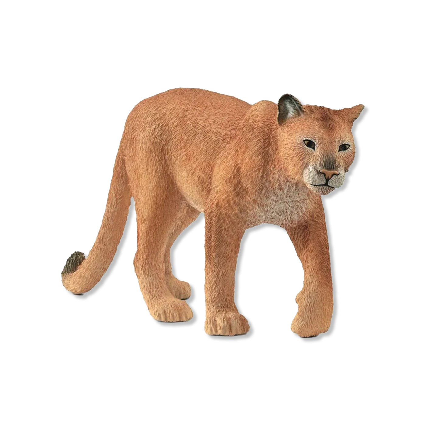 zwierzęta i figurki