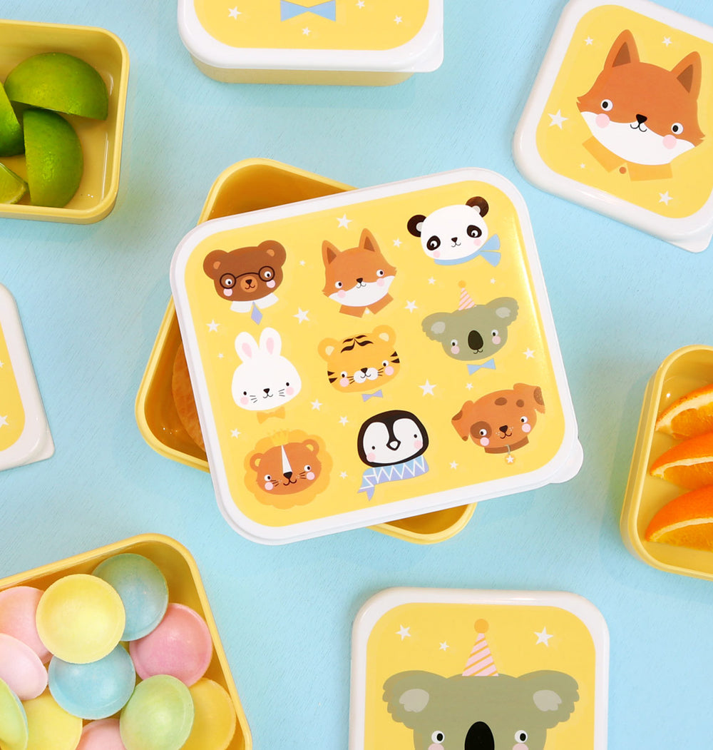 Lunch box set lunchboxy