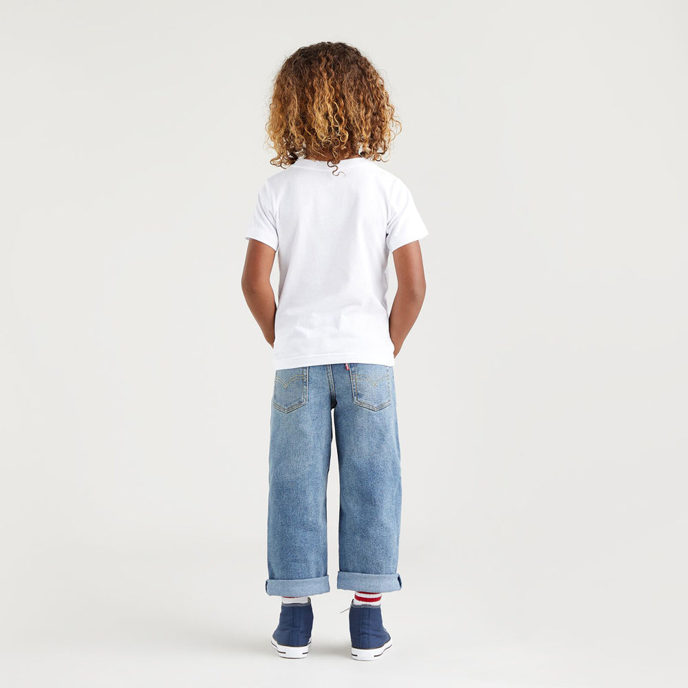 LVB STAT LOOSE dżinsy