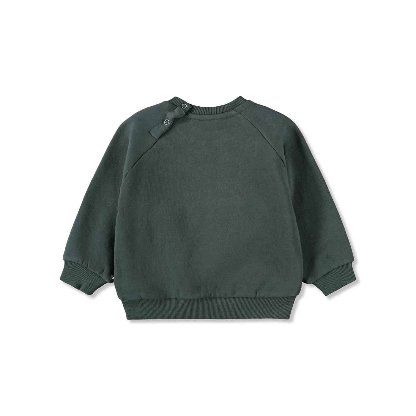 Disc Bluza