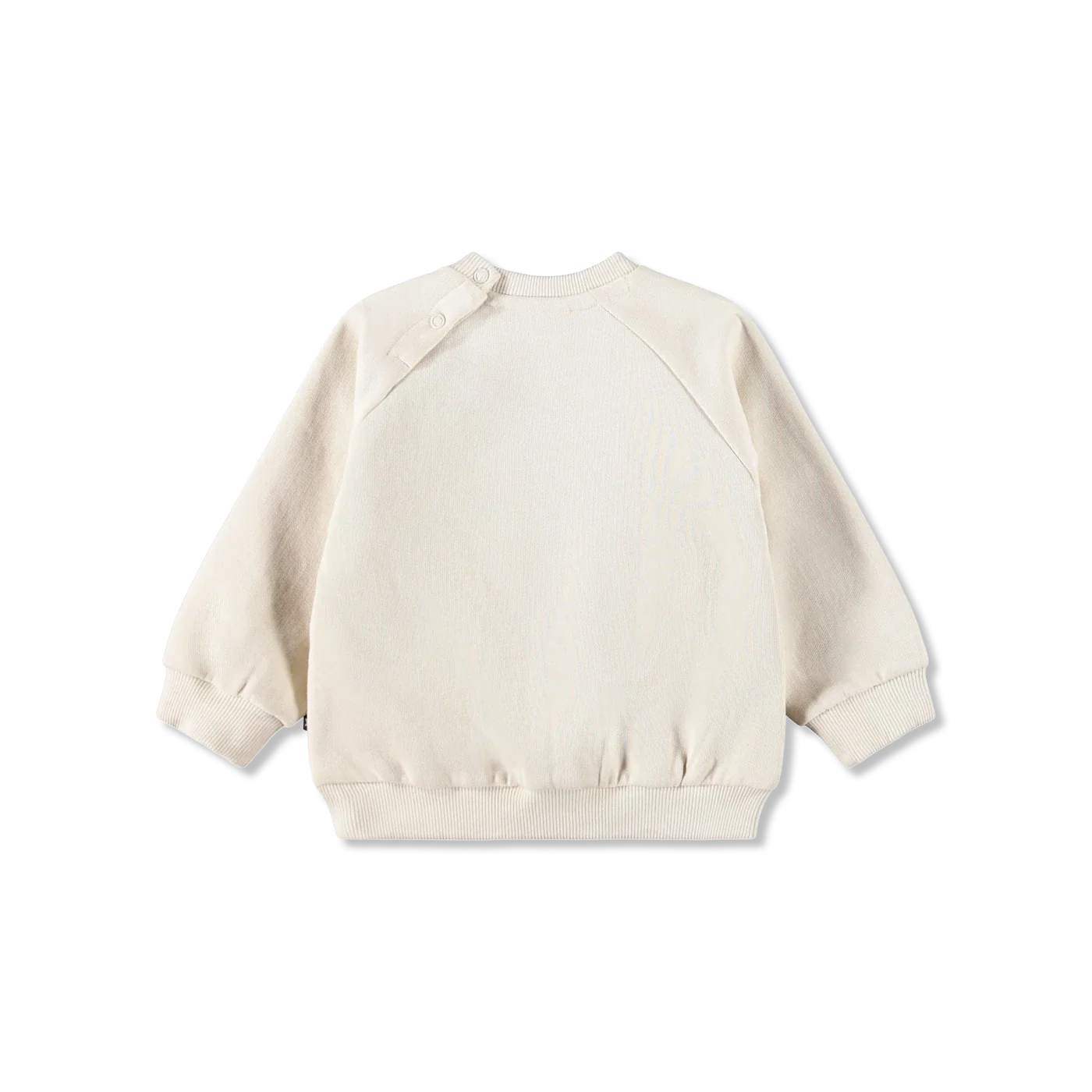 Disc Bluza