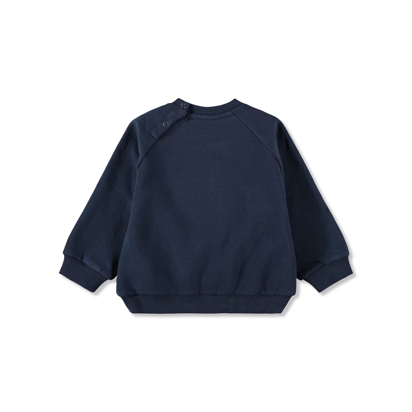 Disc Bluza