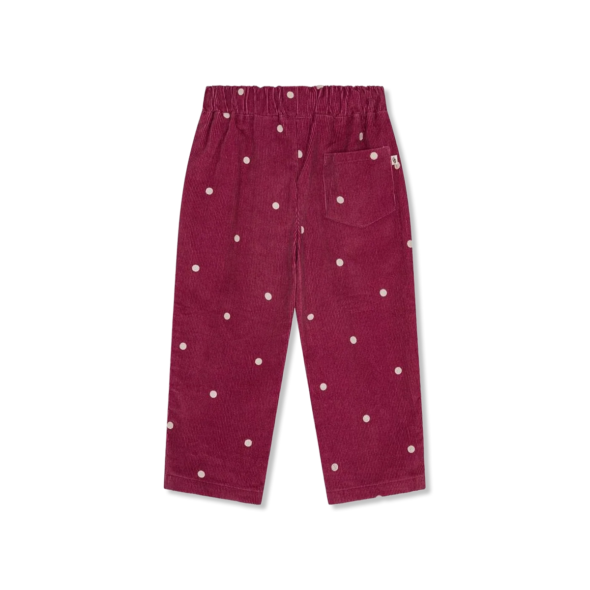 Corduroy Spodnie