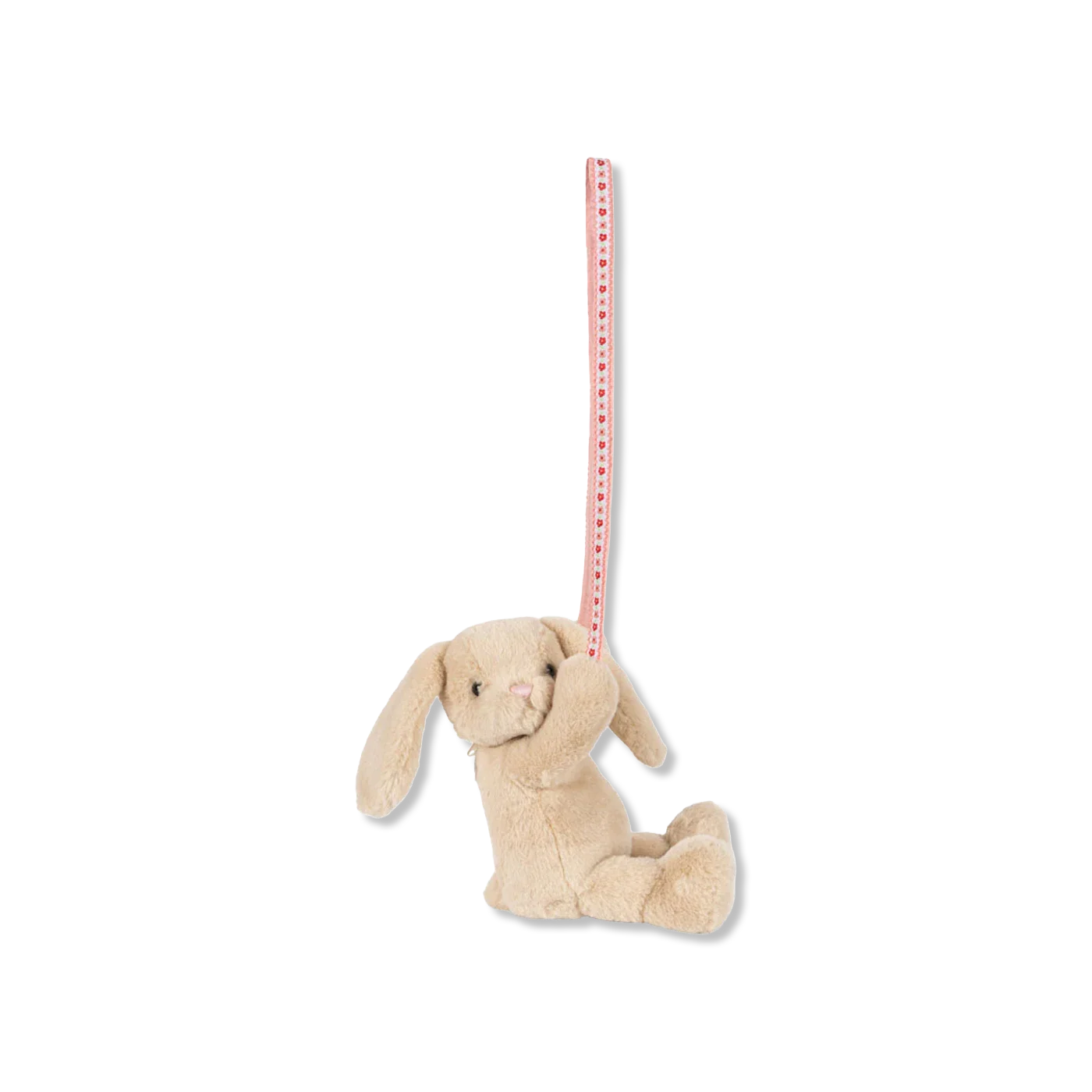 Teddy Torba